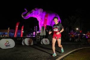 BIB: 
                            <button type="button" onclick="openModal(26534110)" class="btn btn-primary btn-sm float-right btn-popup" data-toggle="modal" data-target=".modal-high-quality">
                        <i class="fas fa-shopping-cart"></i> Add to Cart
                    </button>
                                            <button type="button" onclick="isThisMe(26534110, true)" class="btn btn-success btn-sm float-right btn-popup btn-isme hidden" data-toggle="tooltip" data-placement="bottom" title="นี่คือรูปของคุณใช่ไหม คลิกที่นี่เพื่อเอาเข้าอัลบั้ม">
                        <i class="fas fa-plus"></i> Add to album
                    </button>
                    <button type="button" onclick="isThisMe(26534110, false)" class="btn btn-warning btn-sm float-right btn-popup btn-isnotme hidden">
                        <i class="fas fa-ban"></i> Remove from album
                    </button>